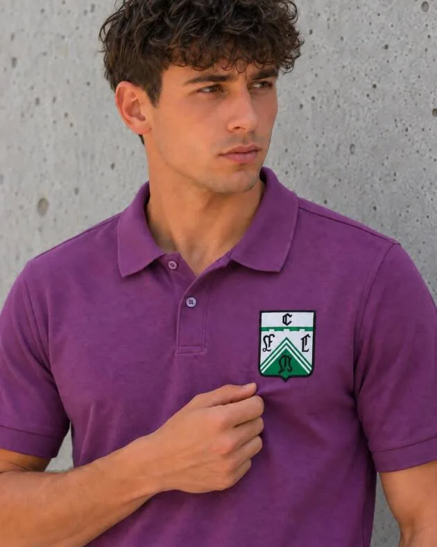 Remera chomba algodón Ferro — detalle escudo corregido