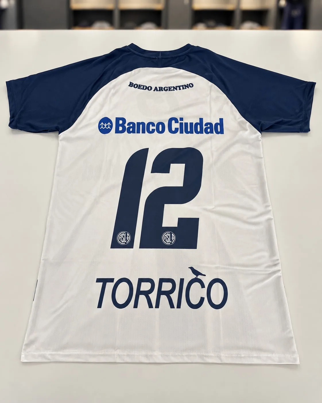 Camiseta arquero San Lorenzo Torrico 2013-14 gris — foto real dorso